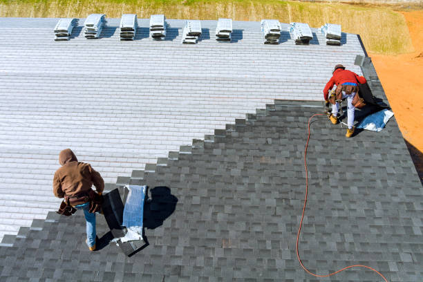 Best Roof Repair Services  in Muskegon Heights, MI