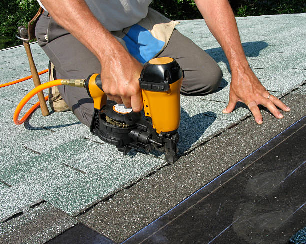 Best Roof Gutter Cleaning  in Muskegon Heights, MI