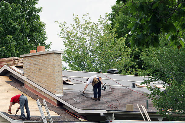 Best Metal Roofing Contractor  in Muskegon Heights, MI